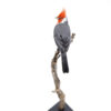 Bird Taxidermy Shop | Buy taxidermy and buy mounted birds | Koop opgezette vogels | Opgezette vogels te koop | Taxidermied Taxidermy red-crested cardinal for sale | Opgezette roodkuif kardinaal te koop | Opgezette vogel te koop