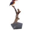 Bird Taxidermy Shop | Mounted kingfisher | Opgezette ijsvogel