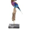 Taxidermy lilac-breasted roller - tropical bird mount for sale